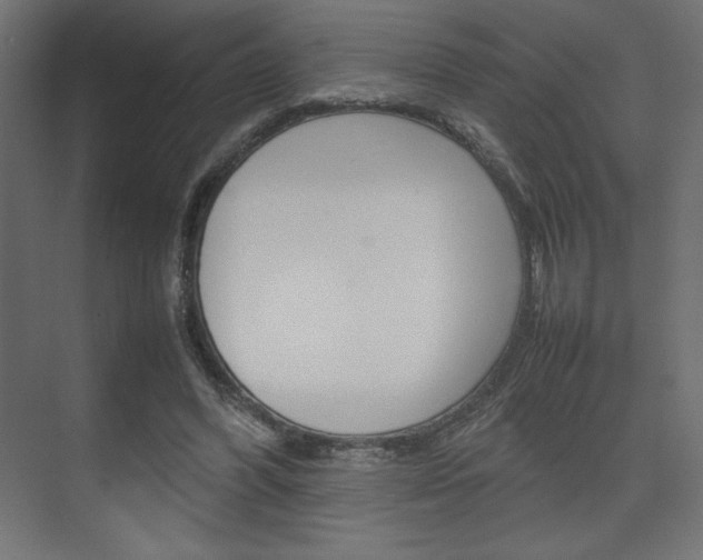 X0000074310396200608251010