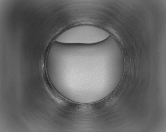 X0000074310398200608251010