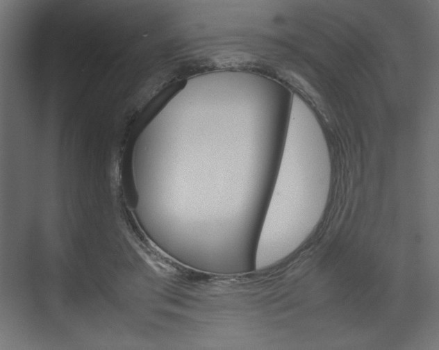 X0000074310405200608251010