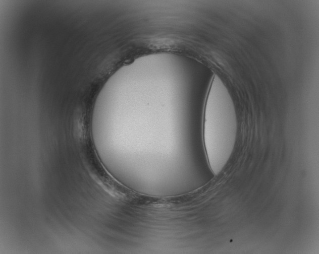 X0000074310408200608251010