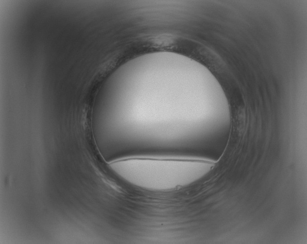 X0000074310412200608251010