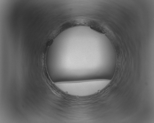 X0000074310413200608251010