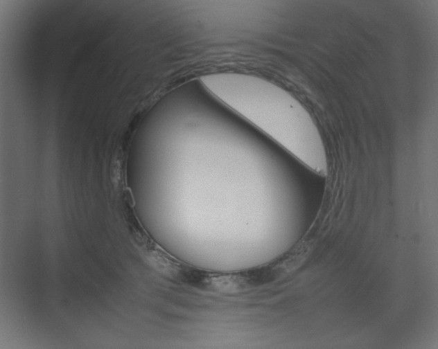 X0000074310417200608251010
