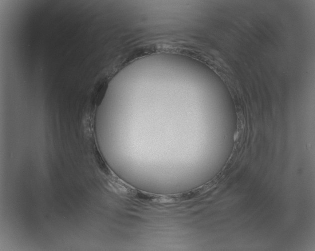 X0000074310419200608251010