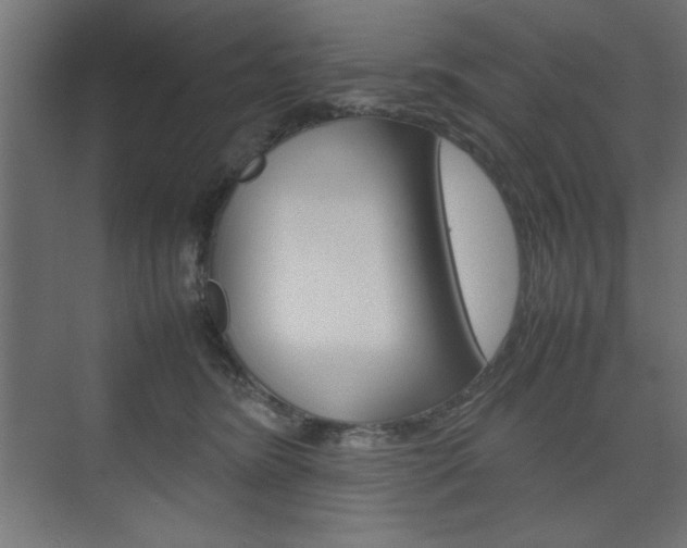 X0000074310420200608251010