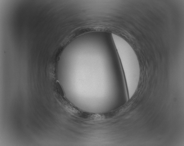 X0000074310421200608251010
