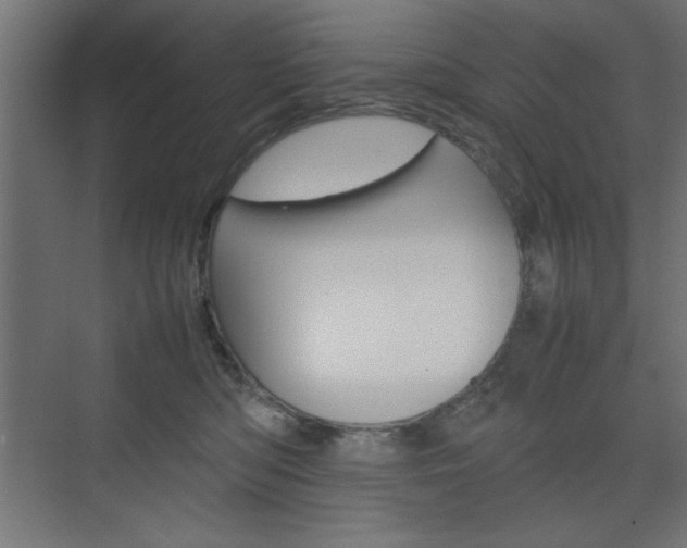 X0000074310422200608251009