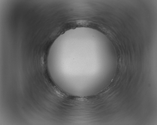 X0000074310424200608251009