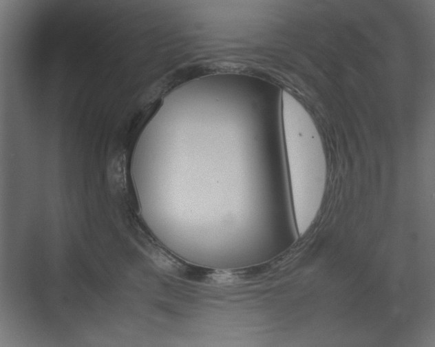 X0000074310425200608251009