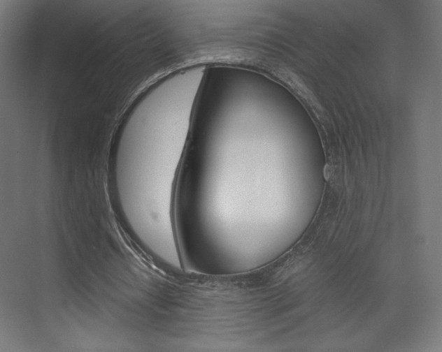 X0000074310434200608251009