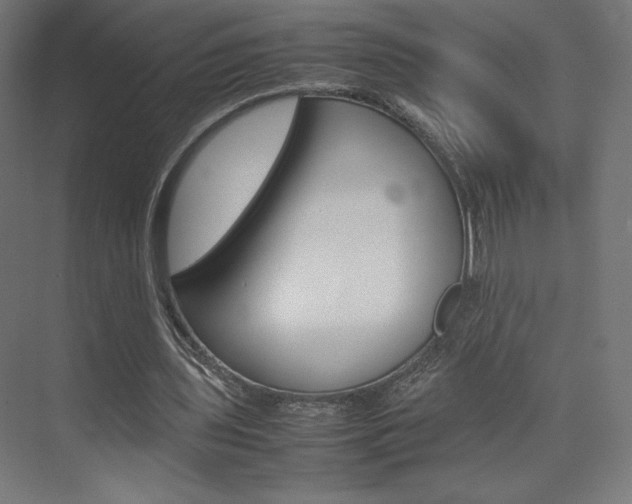 X0000074310435200608251009