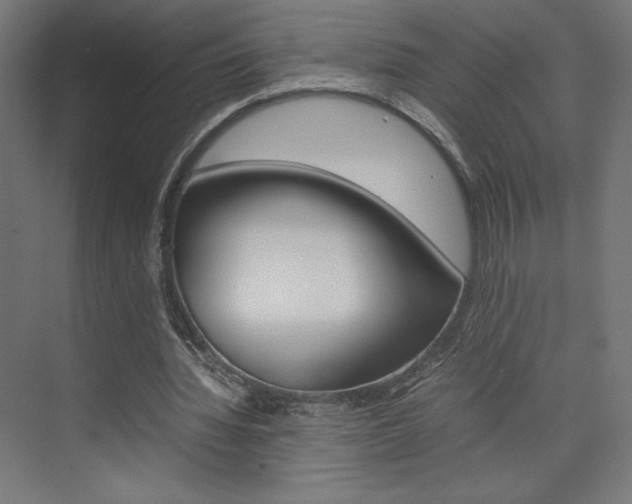 X0000074310436200608251009