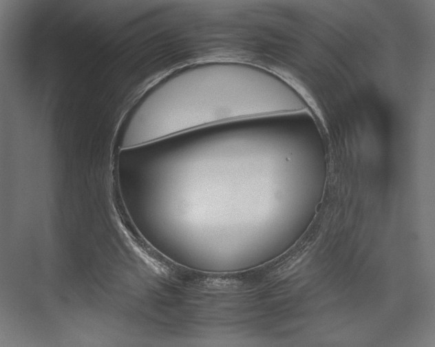 X0000074310437200608251009