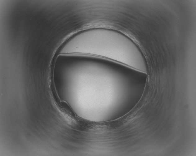 X0000074310438200608251009
