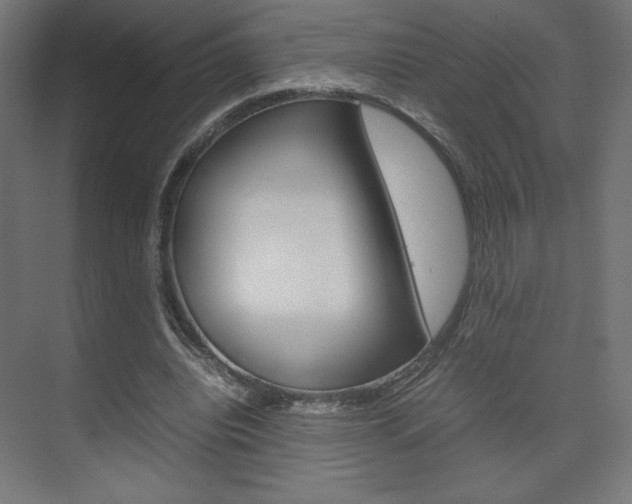 X0000074310440200608251009