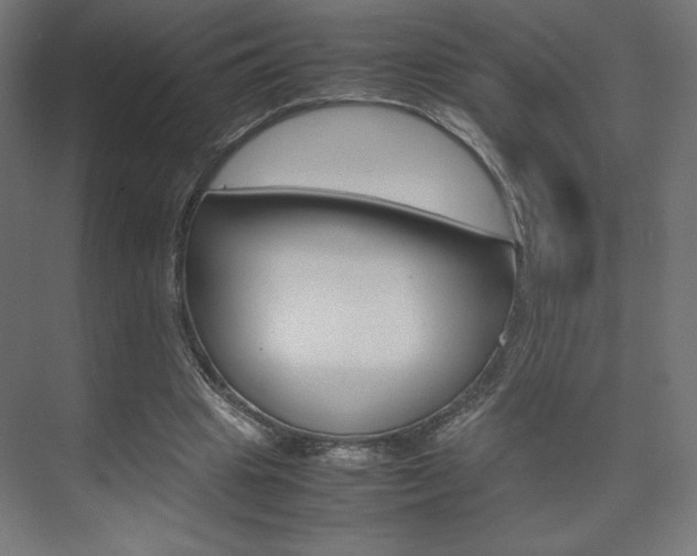 X0000074310441200608251009