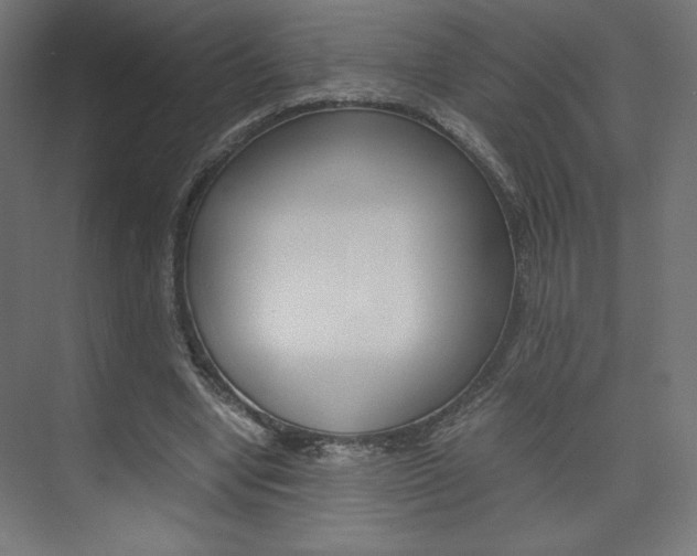 X0000074310442200608251009