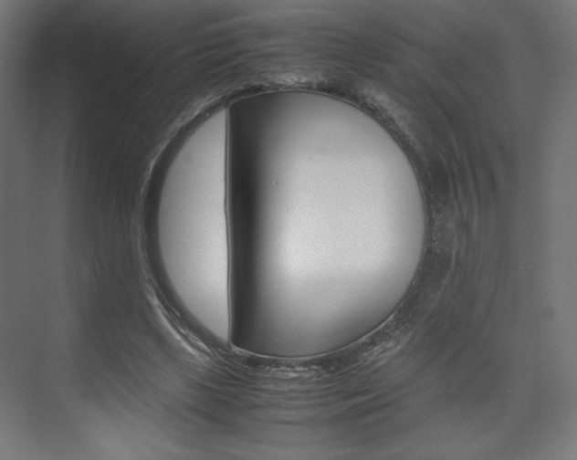 X0000074310443200608251009