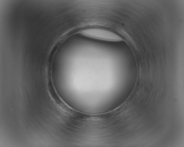 X0000074310444200608251009