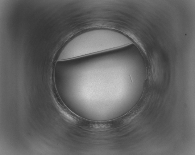 X0000074310445200608251009