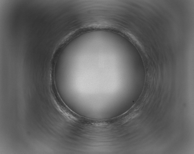 X0000074310446200608251009