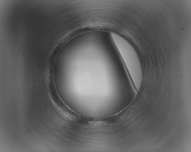 X0000074310448200608251009