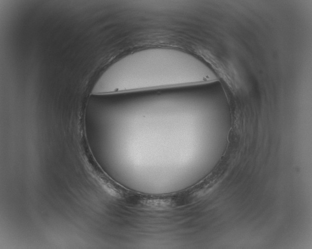 X0000074310449200608251009