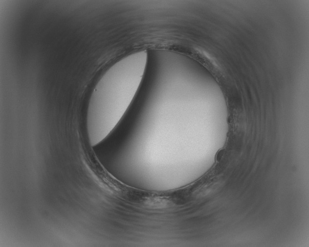 X0000074310451200608251009
