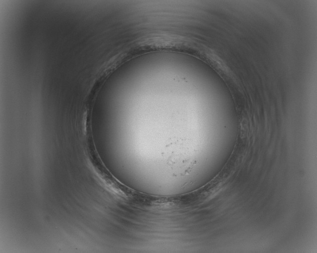 X0000074310454200608251009