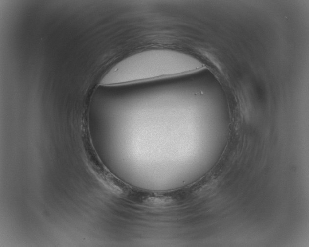 X0000074310455200608251009