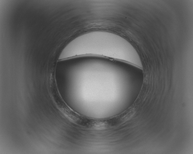 X0000074310456200608251009