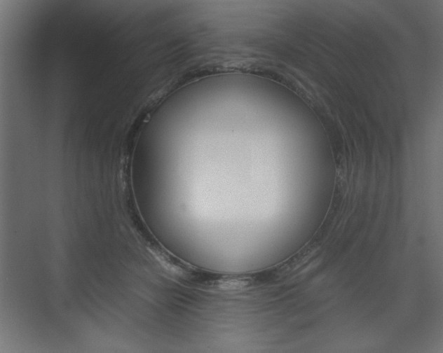 X0000074310462200608251009