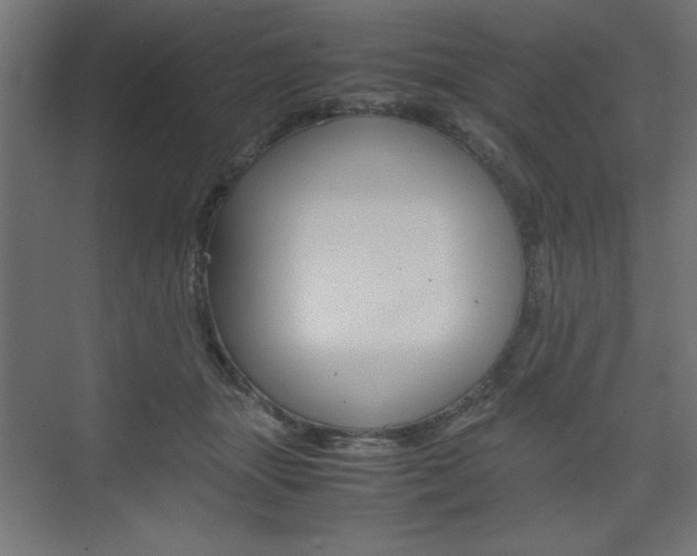 X0000074310463200608251009