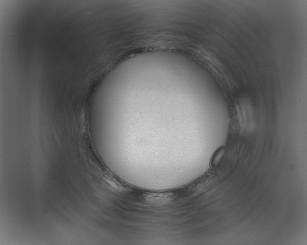 X0000074310465200608251009