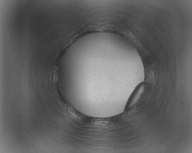 X0000074310471200608251009