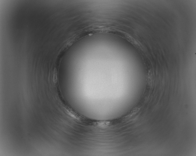 X0000074310474200608251009