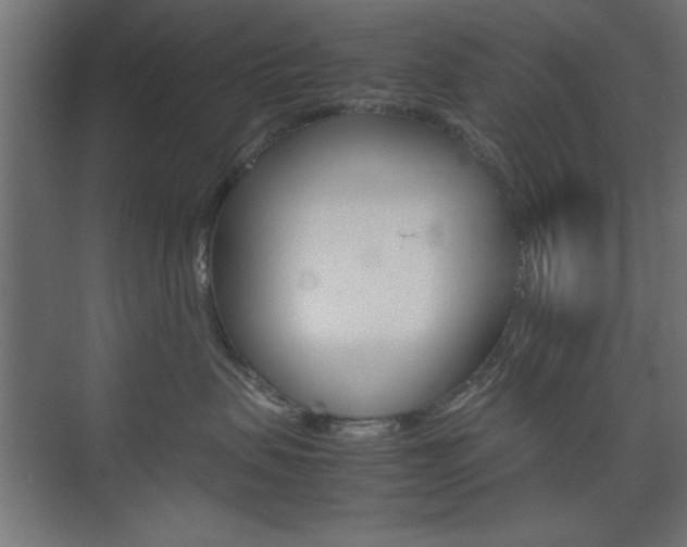 X0000074310479200608251009