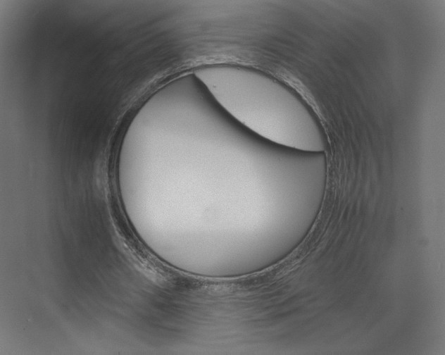 X0000074310482200608251008
