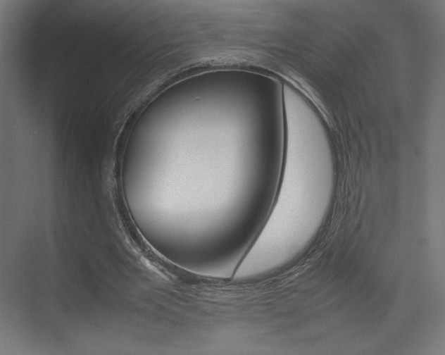 X0000074310485200608251008