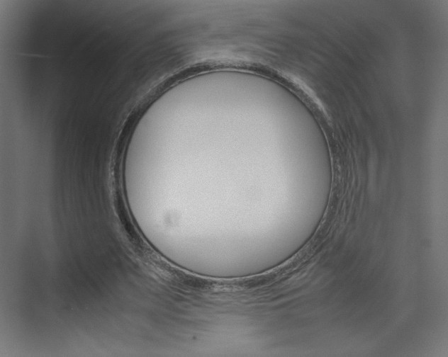X0000074310487200608251008