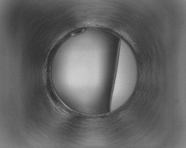 X0000074310488200608251008
