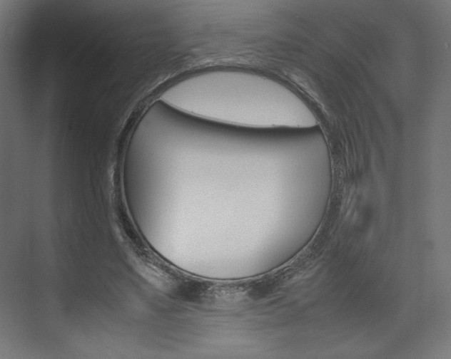 X0000074310491200608251008
