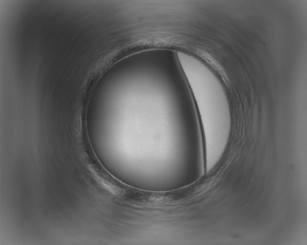 X0000074310493200608251008