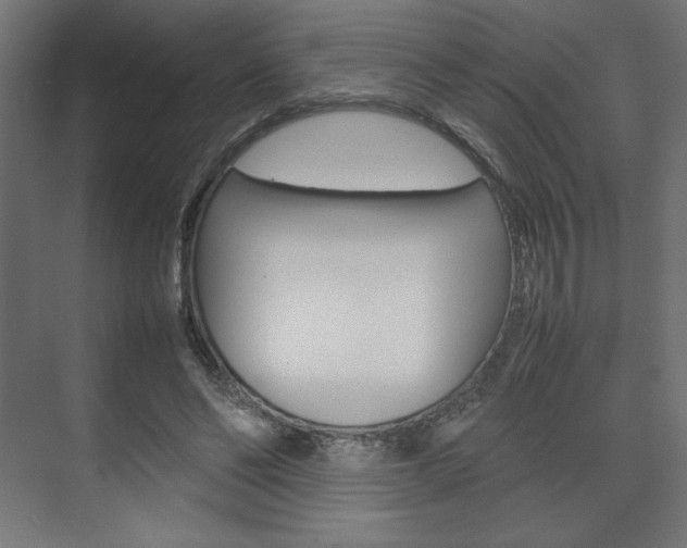X0000074310494200608251008