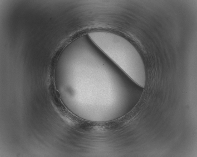 X0000074310496200608251008