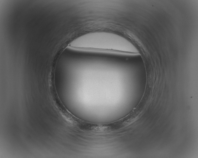 X0000074310497200608251008