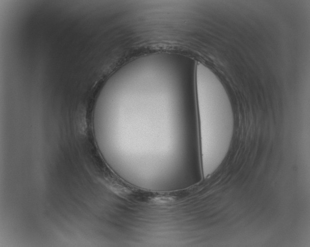 X0000074310508200608251008
