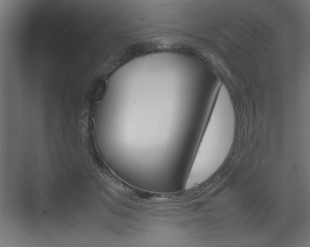 X0000074310509200608251008
