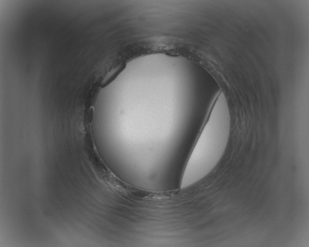 X0000074310512200608251008