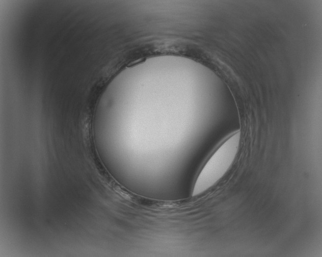 X0000074310513200608251008